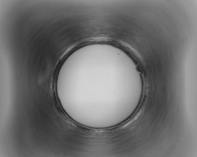 X0000116341162200912011012