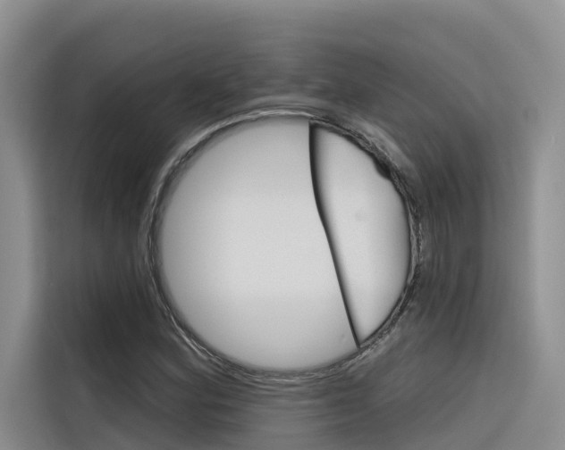 X0000116341164200912011012