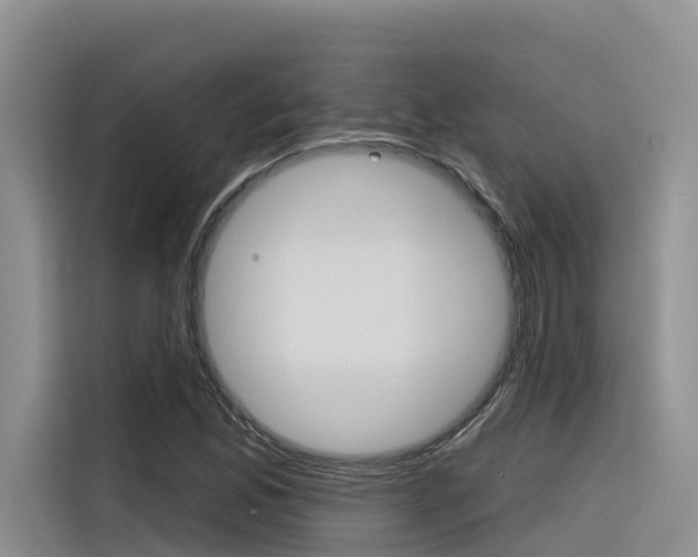 X0000116341165200912011012