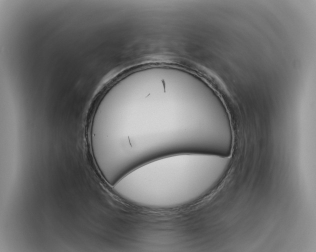 X0000116341168200912011012