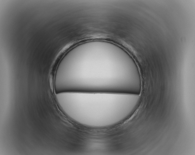 X0000116341171200912011012