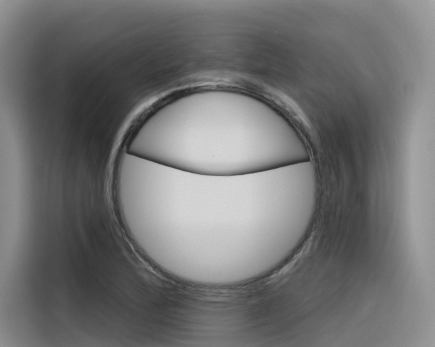 X0000116341172200912011012