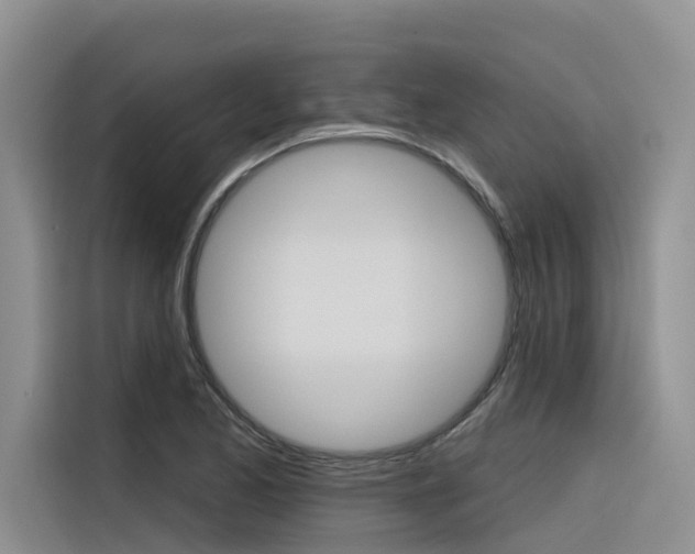 X0000116341173200912011012