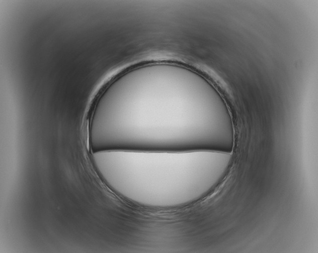 X0000116341175200912011012