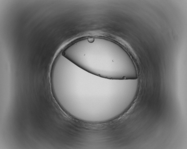 X0000116341176200912011012
