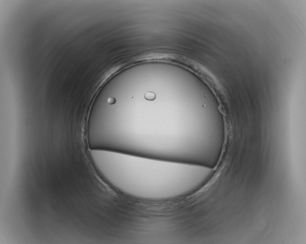 X0000116341177200912011012