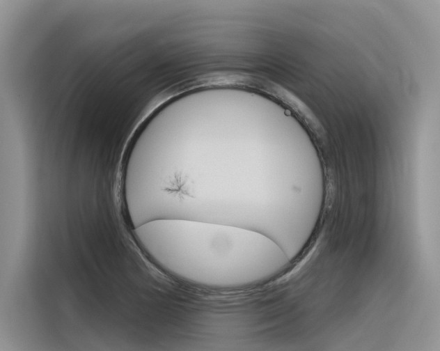 X0000116341178200912011012