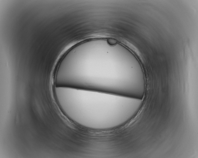 X0000116341179200912011012