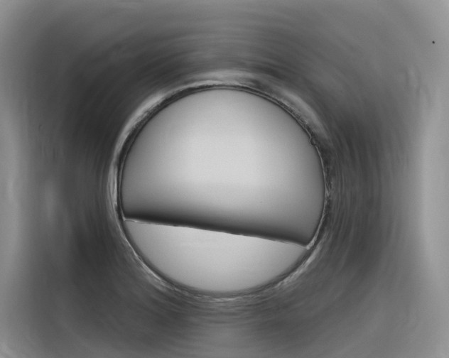 X0000116341180200912011012