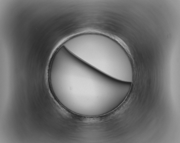 X0000116341183200912011012
