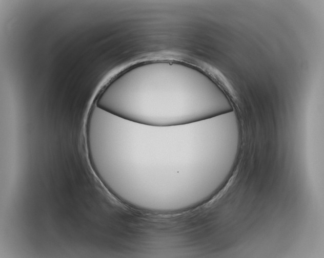 X0000116341184200912011012