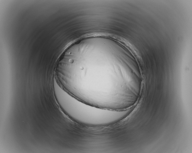 X0000116341185200912011012