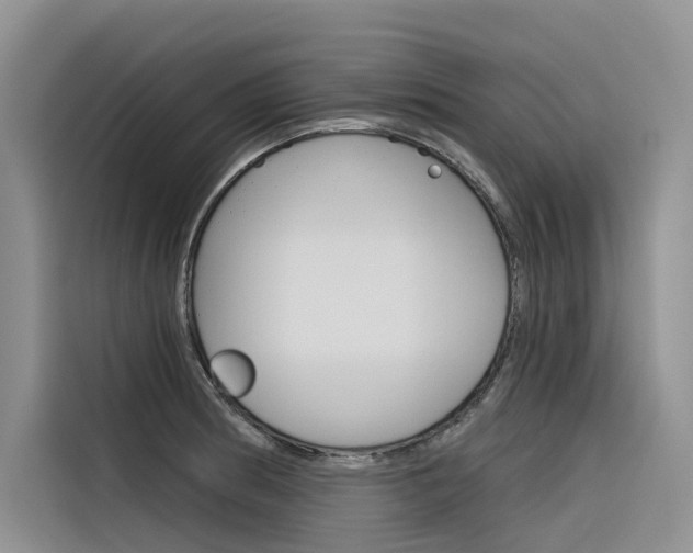 X0000116341186200912011012