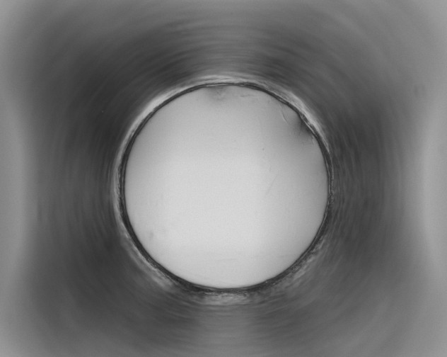 X0000116341187200912011012