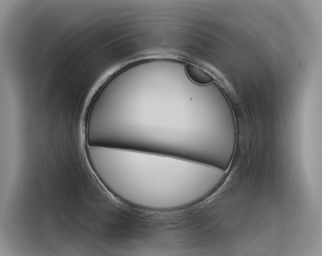 X0000116341188200912011012
