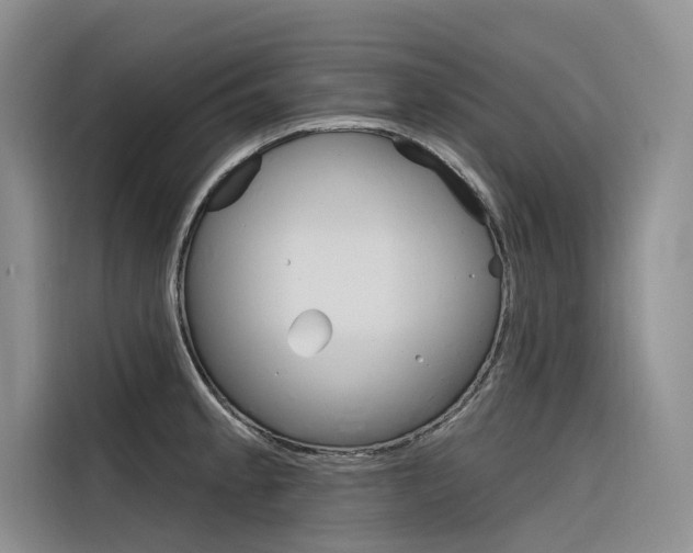 X0000116341189200912011012