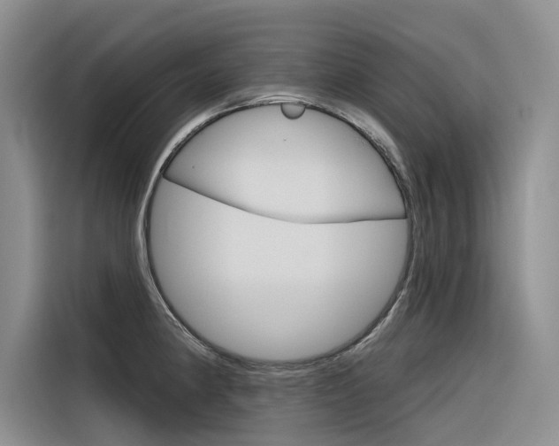 X0000116341190200912011012