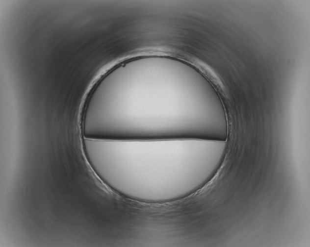 X0000116341192200912011012