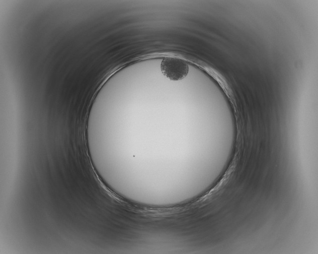 X0000116341193200912011012