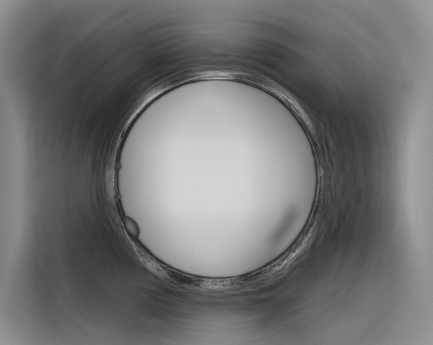 X0000116341194200912011012