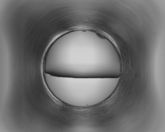 X0000116341195200912011012