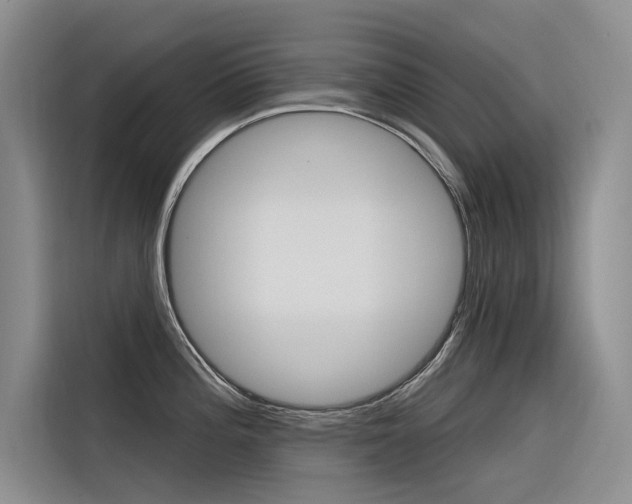 X0000116341196200912011012