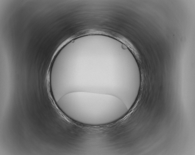 X0000116341198200912011012