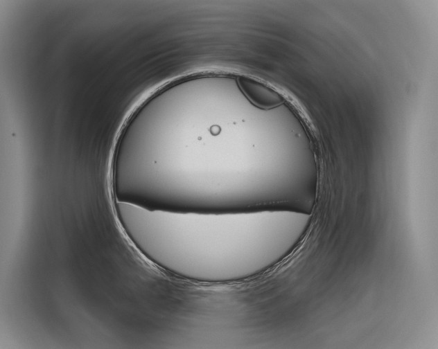 X0000116341199200912011012