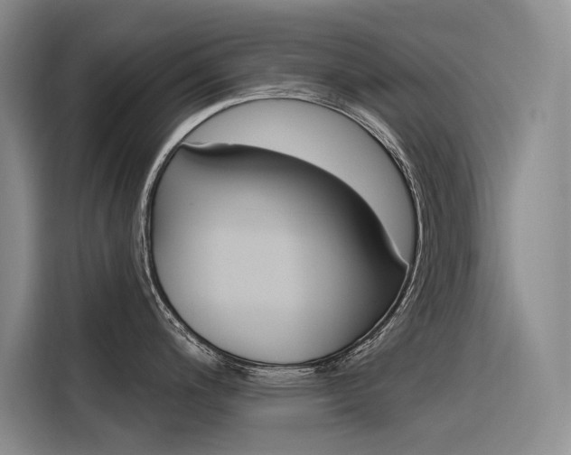 X0000116341200200912011012