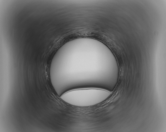 X0000116341202200912011011
