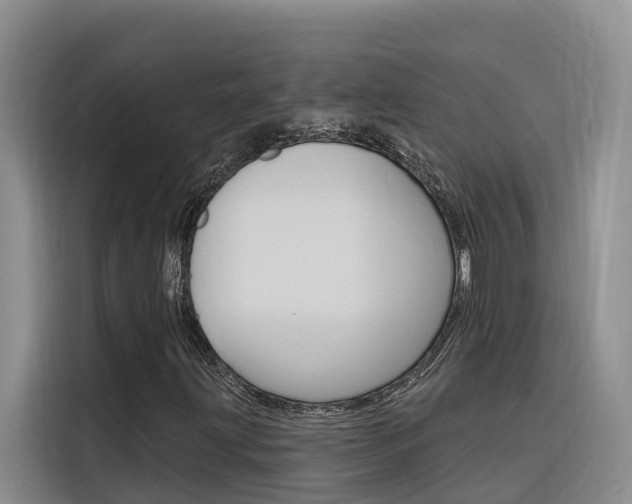 X0000116341203200912011011