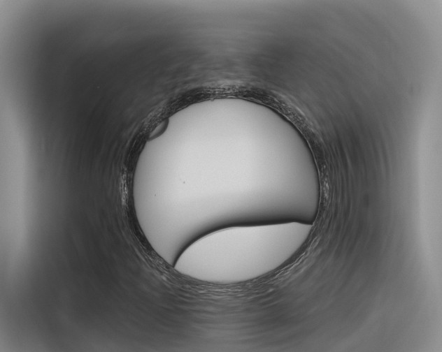 X0000116341204200912011011