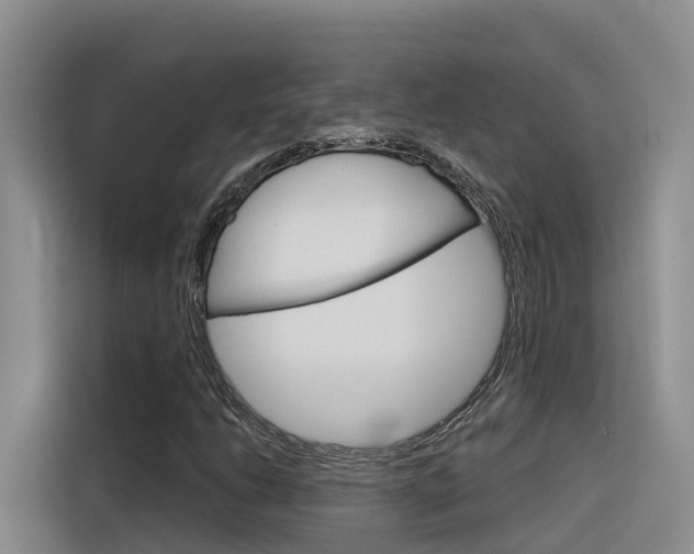 X0000116341206200912011011