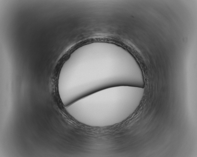 X0000116341208200912011011