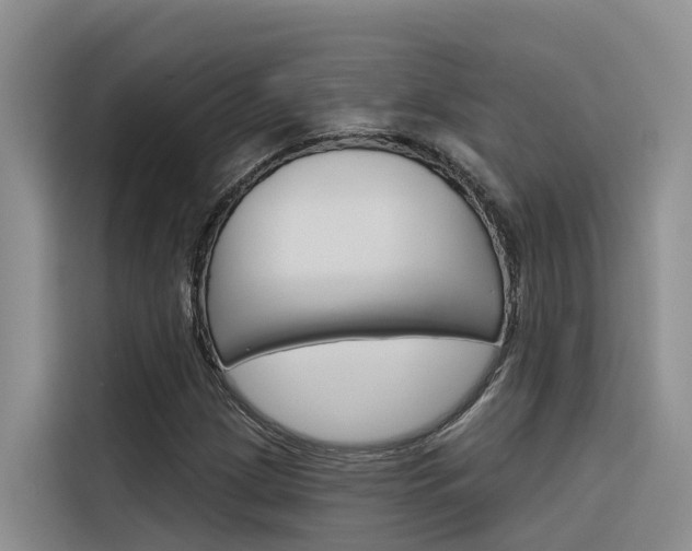 X0000116341209200912011011