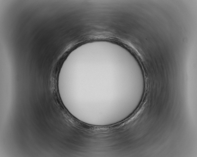 X0000116341211200912011011