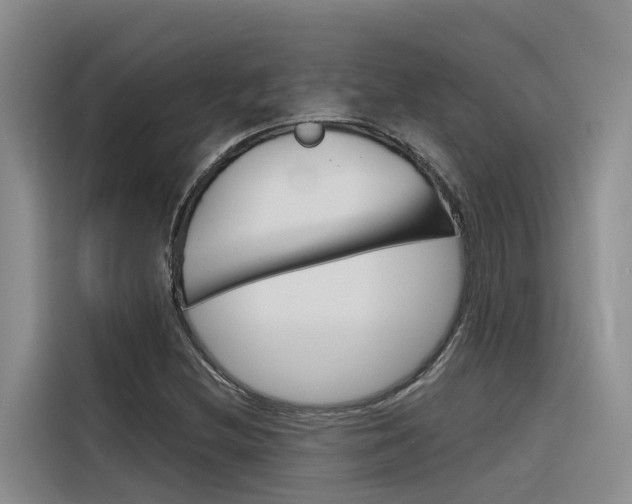 X0000116341212200912011011