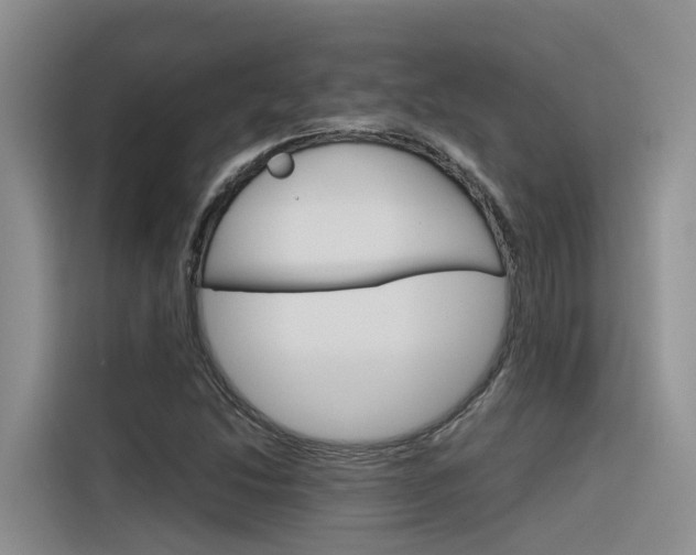 X0000116341214200912011011
