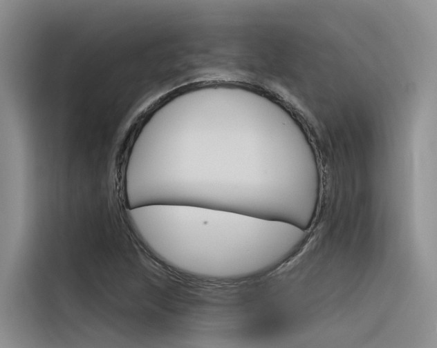 X0000116341215200912011011
