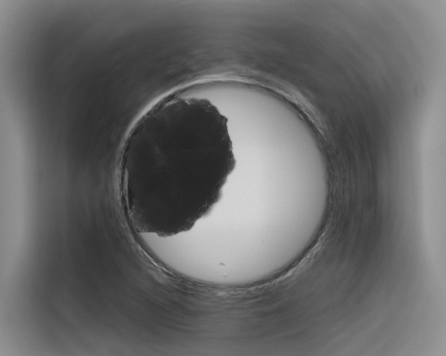 X0000116341216200912011011