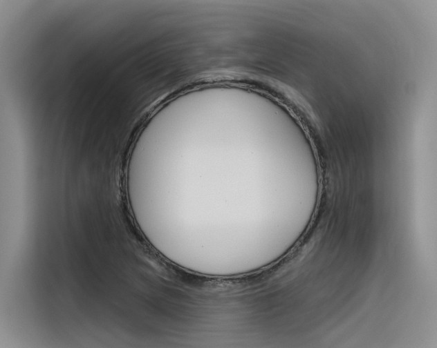 X0000116341217200912011011