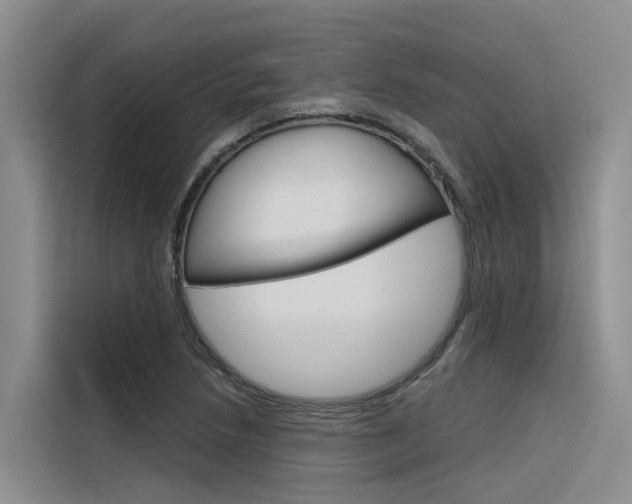 X0000116341218200912011011