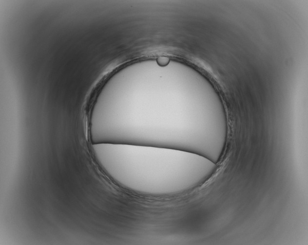 X0000116341219200912011012