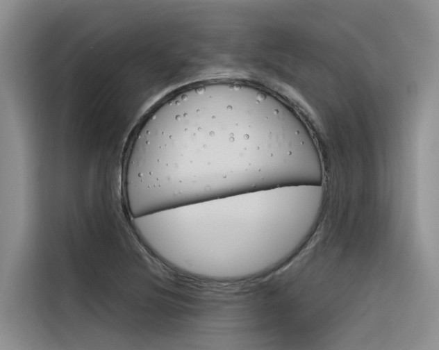 X0000116341220200912011012