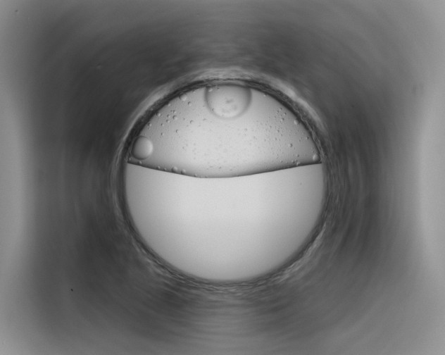 X0000116341221200912011012