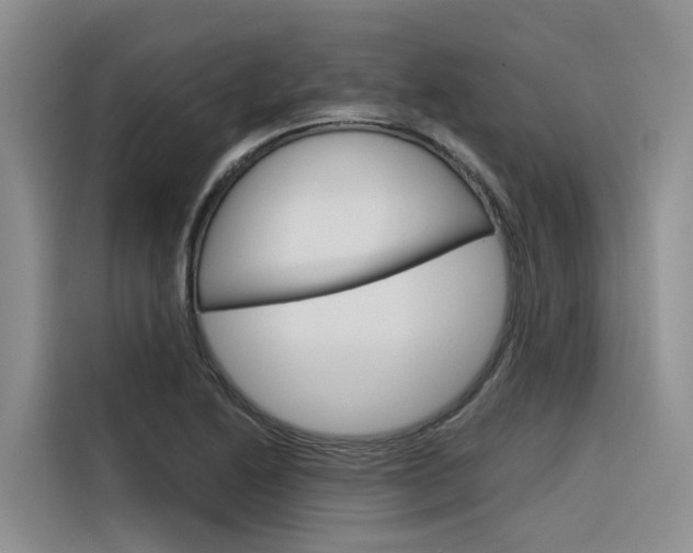 X0000116341222200912011012