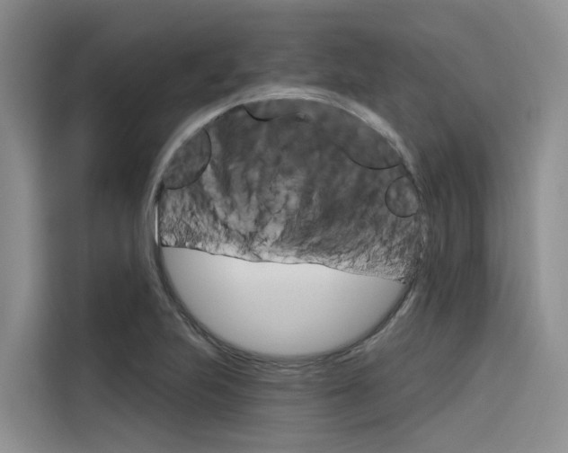 X0000116341223200912011012