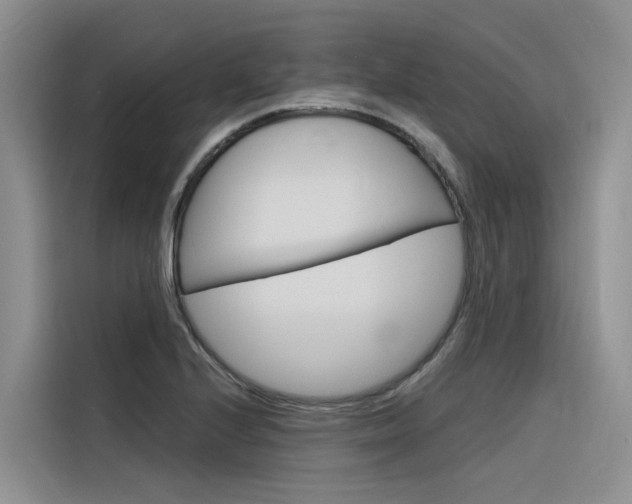 X0000116341224200912011012