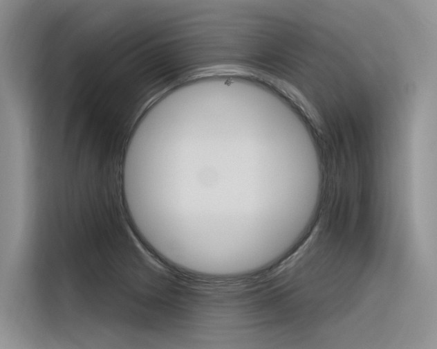 X0000116341225200912011012