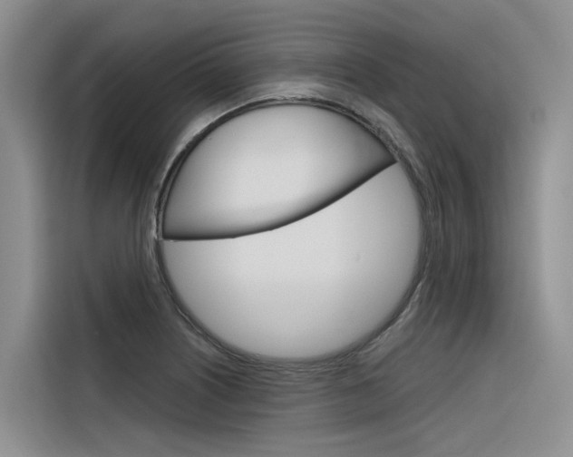 X0000116341226200912011012